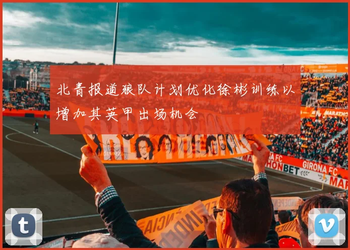 北青报道狼队计划优化徐彬训练以增加其英甲出场机会