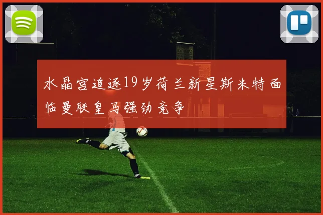 水晶宫追逐19岁荷兰新星斯米特面临曼联皇马强劲竞争