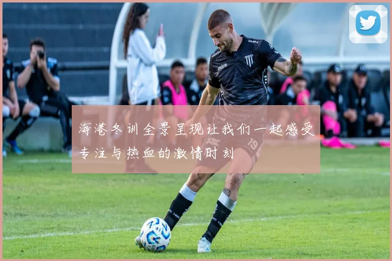 海港冬训全景呈现让我们一起感受专注与热血的激情时刻