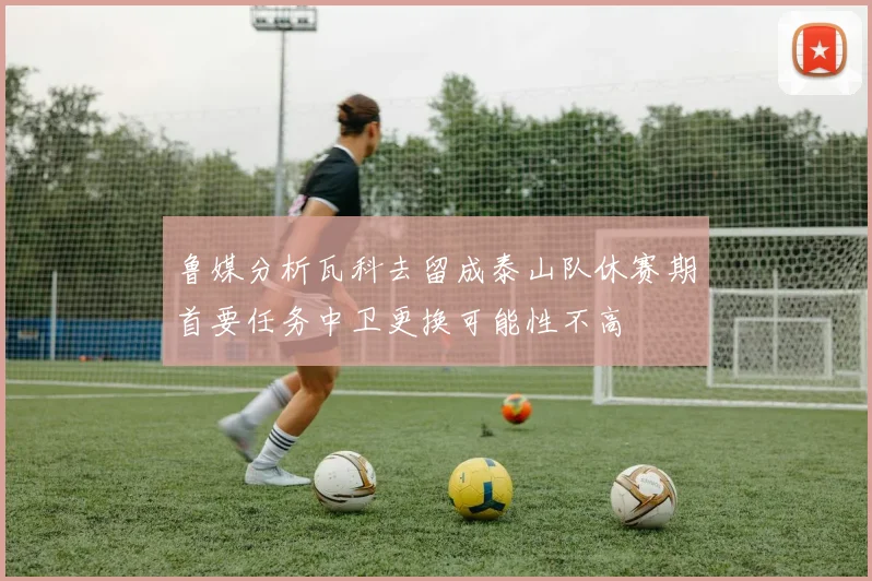 鲁媒分析瓦科去留成泰山队休赛期首要任务中卫更换可能性不高